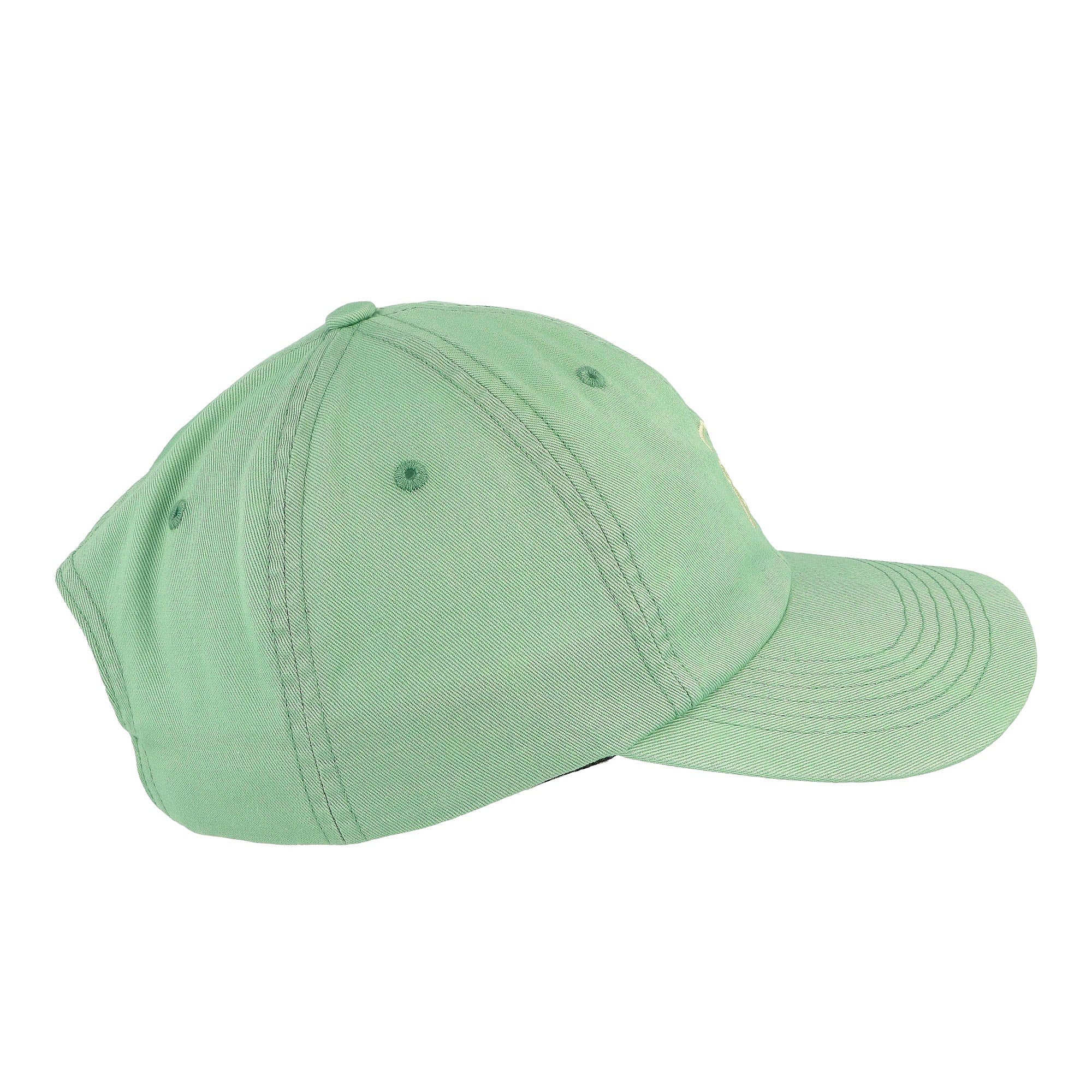 Parra Script Logo 6 Panel Hat Sage Green Caps Close-up | Overkill