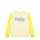 Puma Colorblock Crew TR Anise Flower Sweatshirts 534812 41 | Overkill