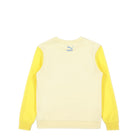 Puma Colorblock Crew TR Anise Flower Sweatshirts Material | Overkill