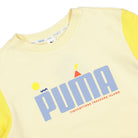 Puma Colorblock Crew TR Anise Flower Sweatshirts Close-up | Overkill