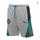 Puma Shorts Gray Violet Shorts 574164 39 | Overkill