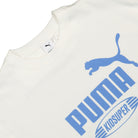 Puma Graphic Tee Puma White T-Shirts Close-up | Overkill