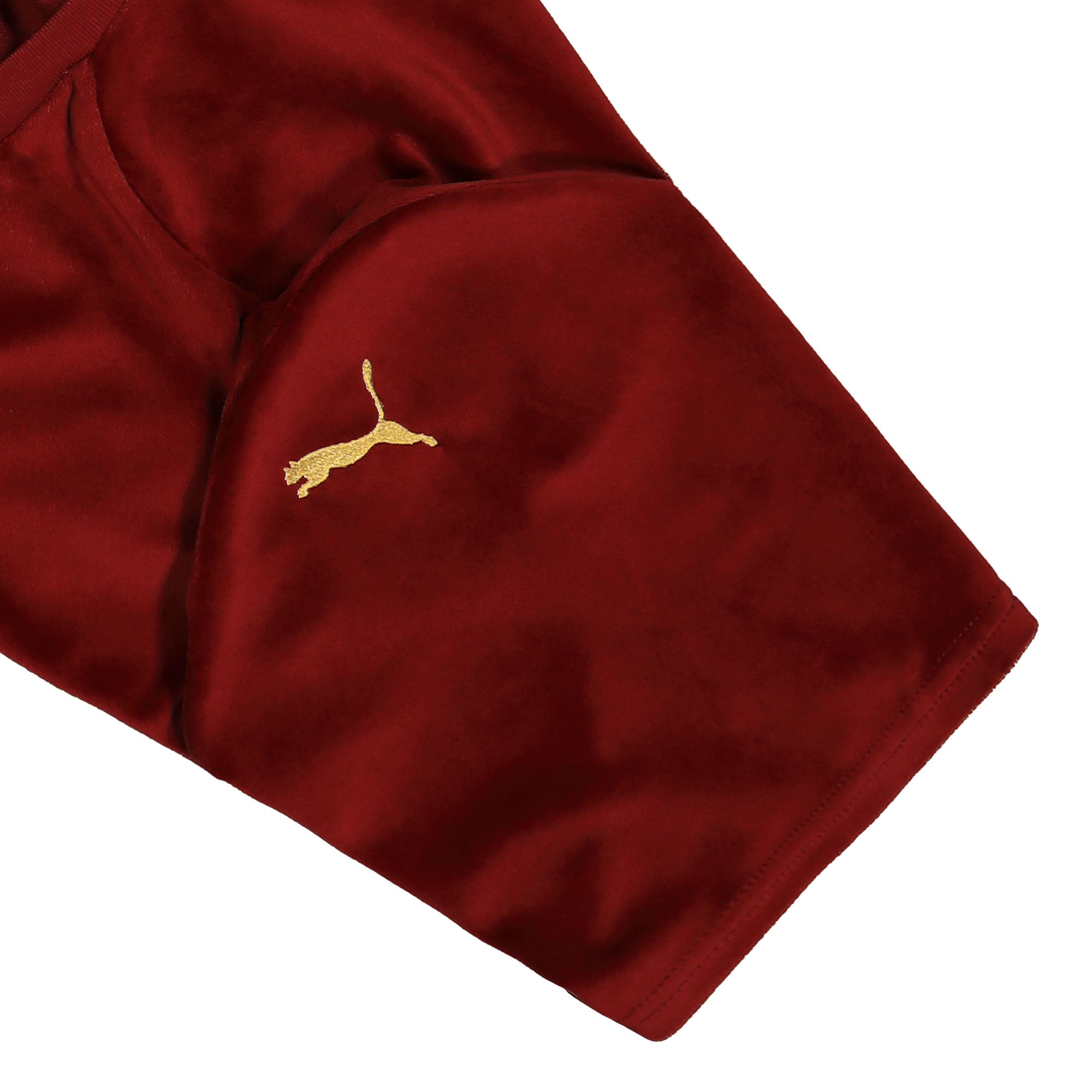 Puma RB Leipzig Special Jersey Replica Intense Red - Puma Team Gold T-Shirts Detail view 1 | Overkill