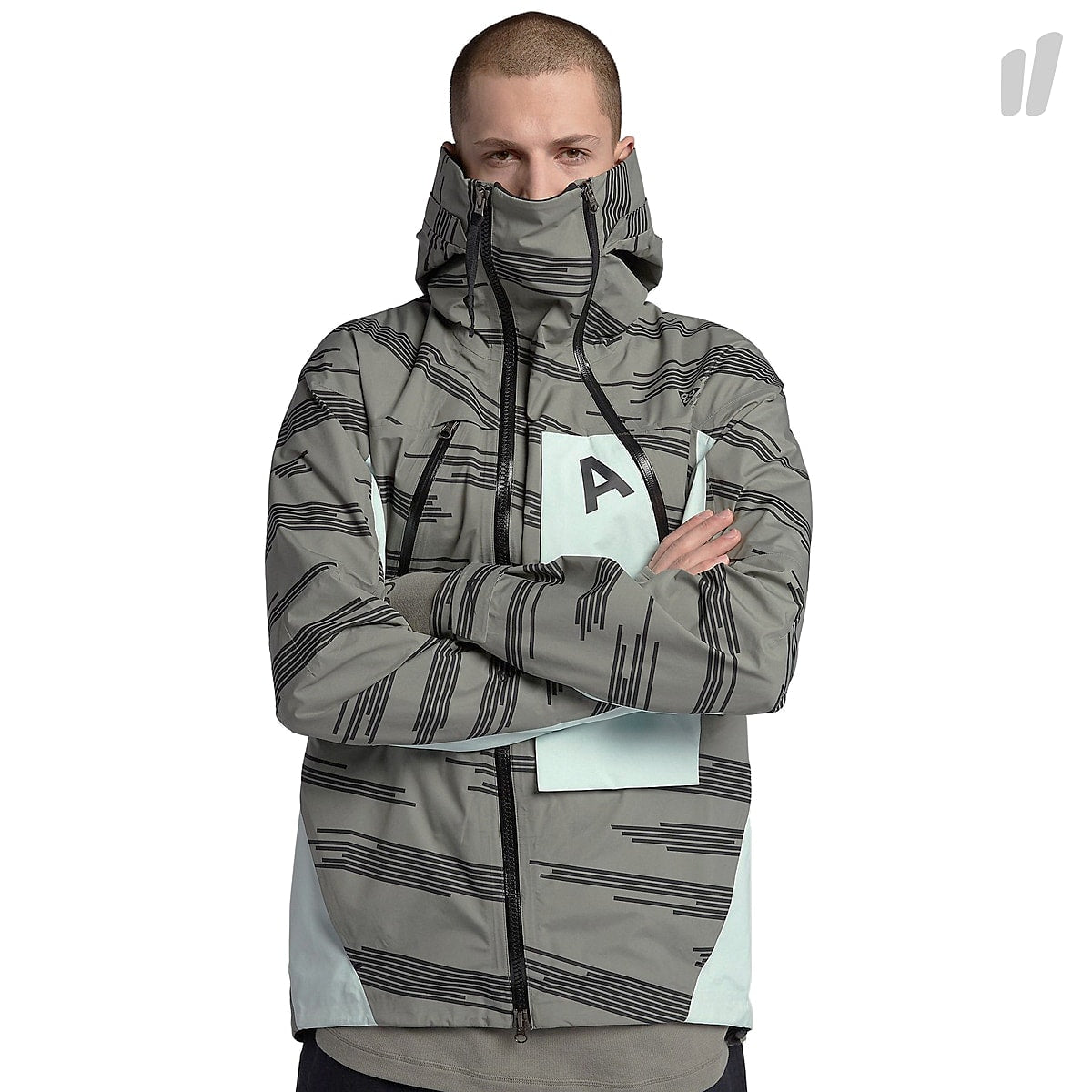 Nike ACG Alpine AOP Jacket Dark Stucco / Barely Green Jackets 924075 004 | Overkill