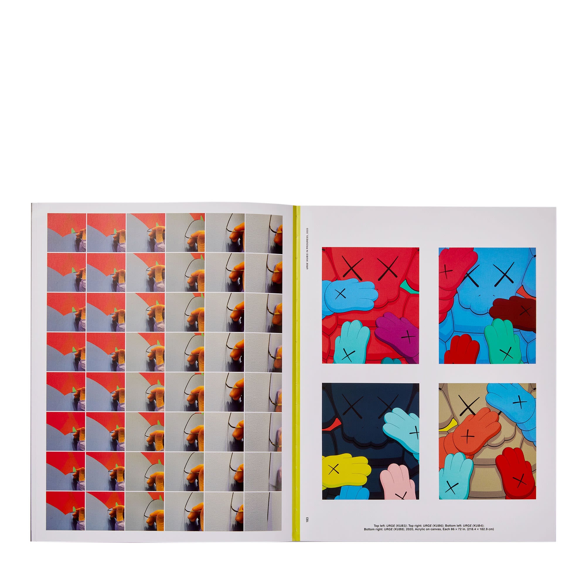 Phaidon Kaws: What Party - Black On Pink Edition 9781838663940