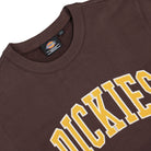 Dickies Aitkin Sweatshirt Java Sweatshirts Close-up | Overkill