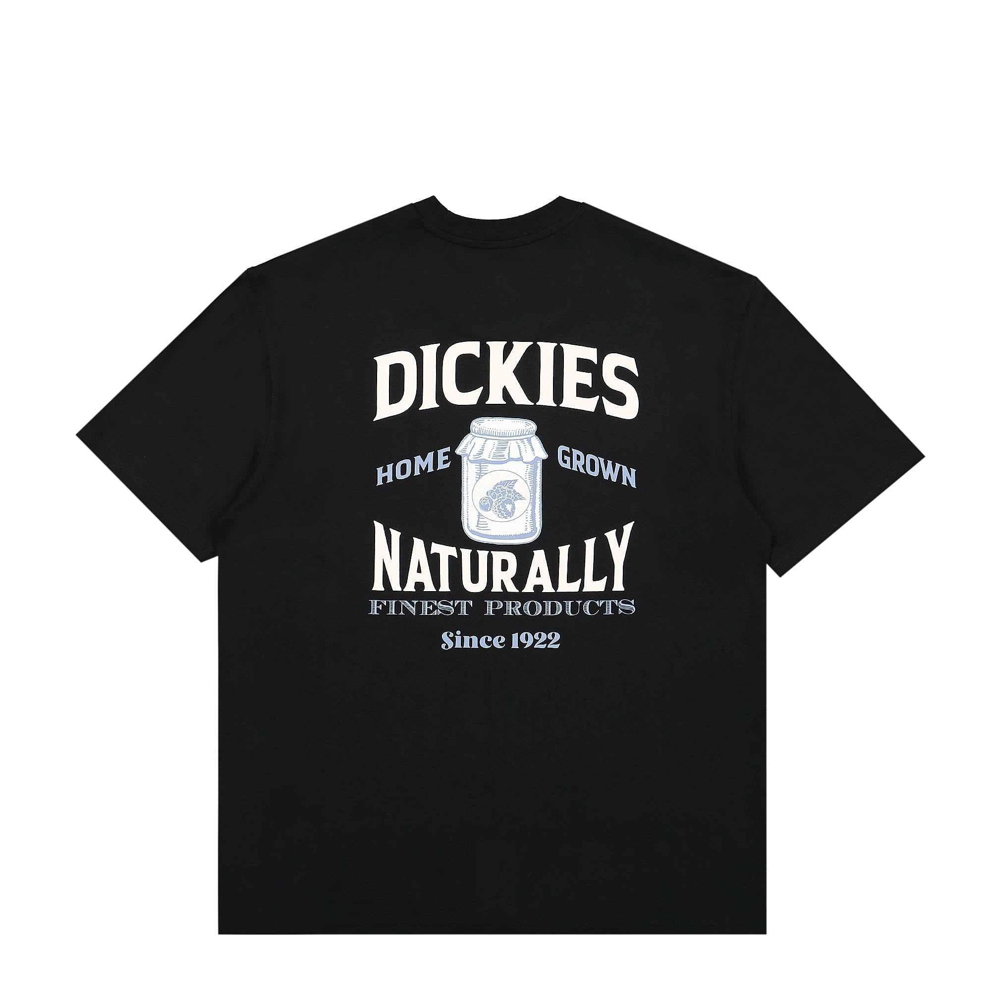 Dickies Elliston T-Shirt Black T-Shirts Close-up | Overkill