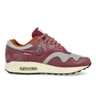 Nike Air Max 1 Metallic Silver / Rush Maroon Low Top Sneakers  Silhouette | Overkill