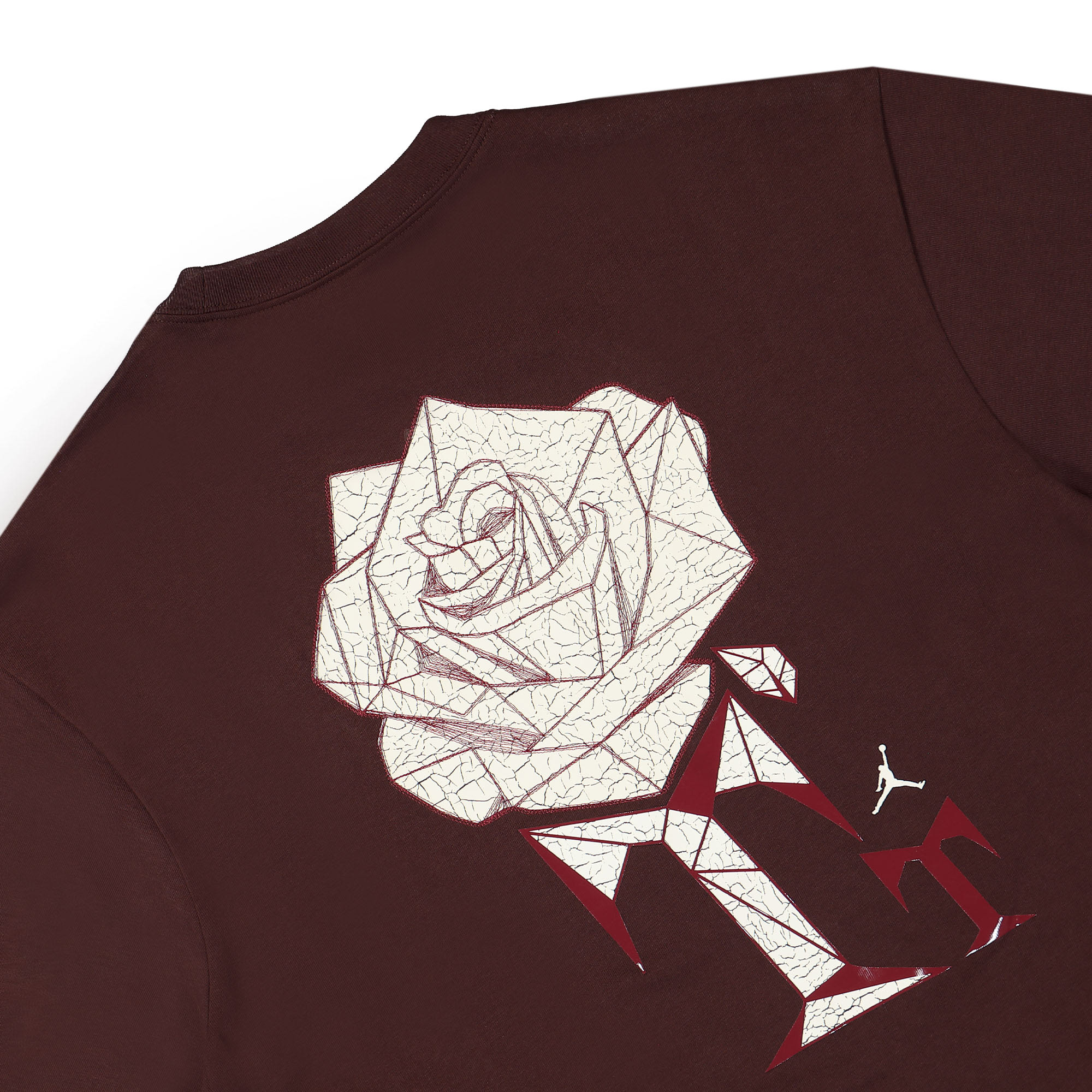 Jordan W Vintage T-Shirt Earth T-Shirts Detailfoto | Overkill