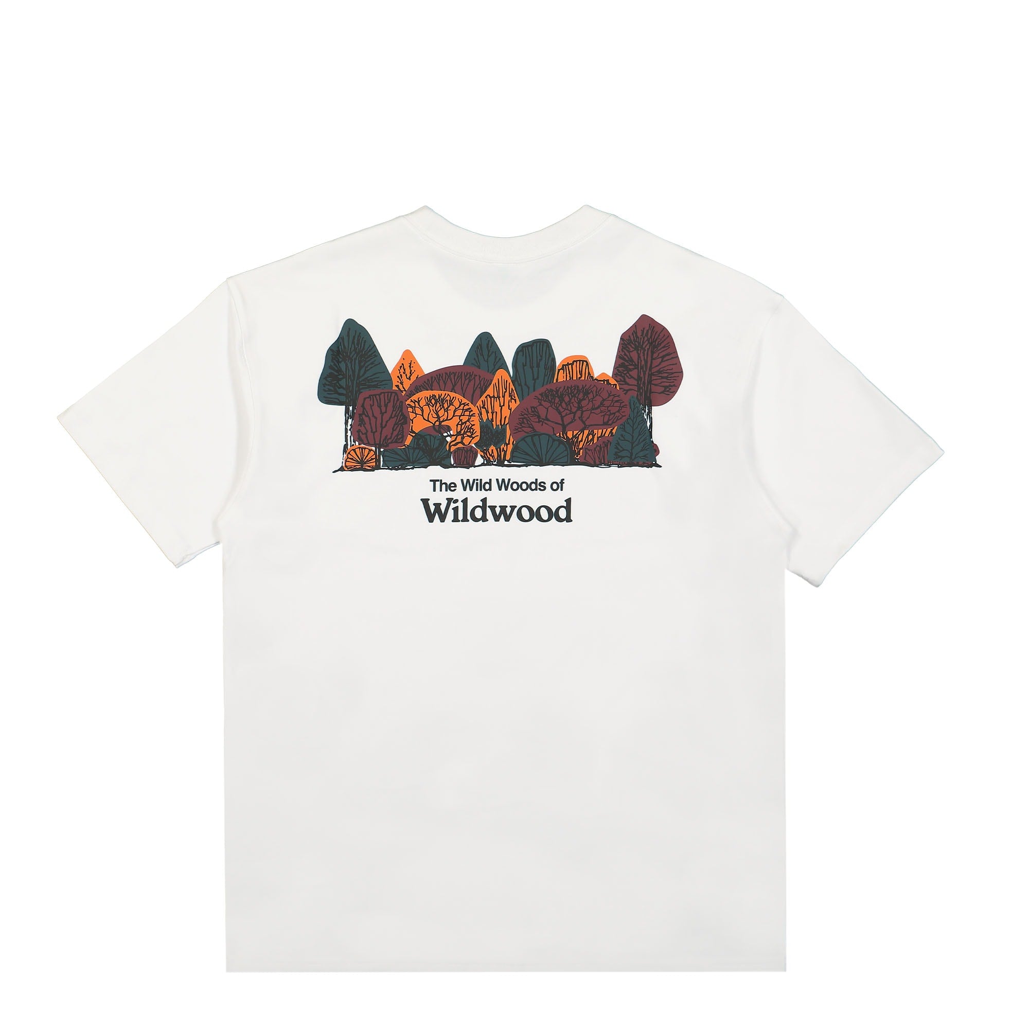 Nike NRG ACG Tee Wildwood Summit White T-Shirts Close-up | Overkill