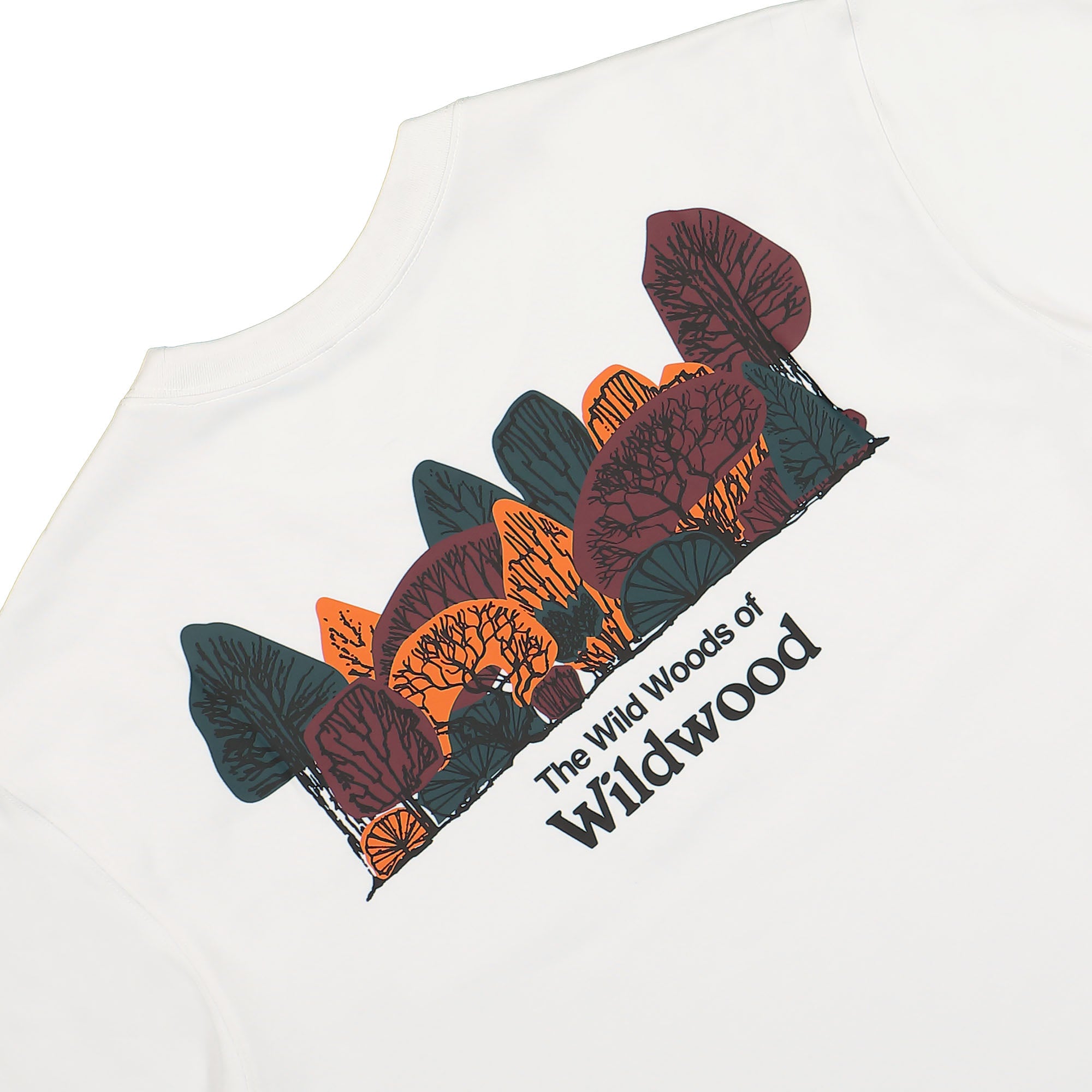 Nike NRG ACG Tee Wildwood Summit White T-Shirts Detailfoto | Overkill