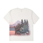 Nike Opal Short Sleeve Tee GX White T-Shirts Close-up | Overkill