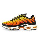 Nike Air Max Plus Black / Pimento - Bright Ceramic - Resin Low Top Sneakers HF0552 001 | Overkill