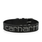 Carhartt WIP Script Studs Dog Collar Black Dog Collar I037387.4BH.XX.06 | Overkill
