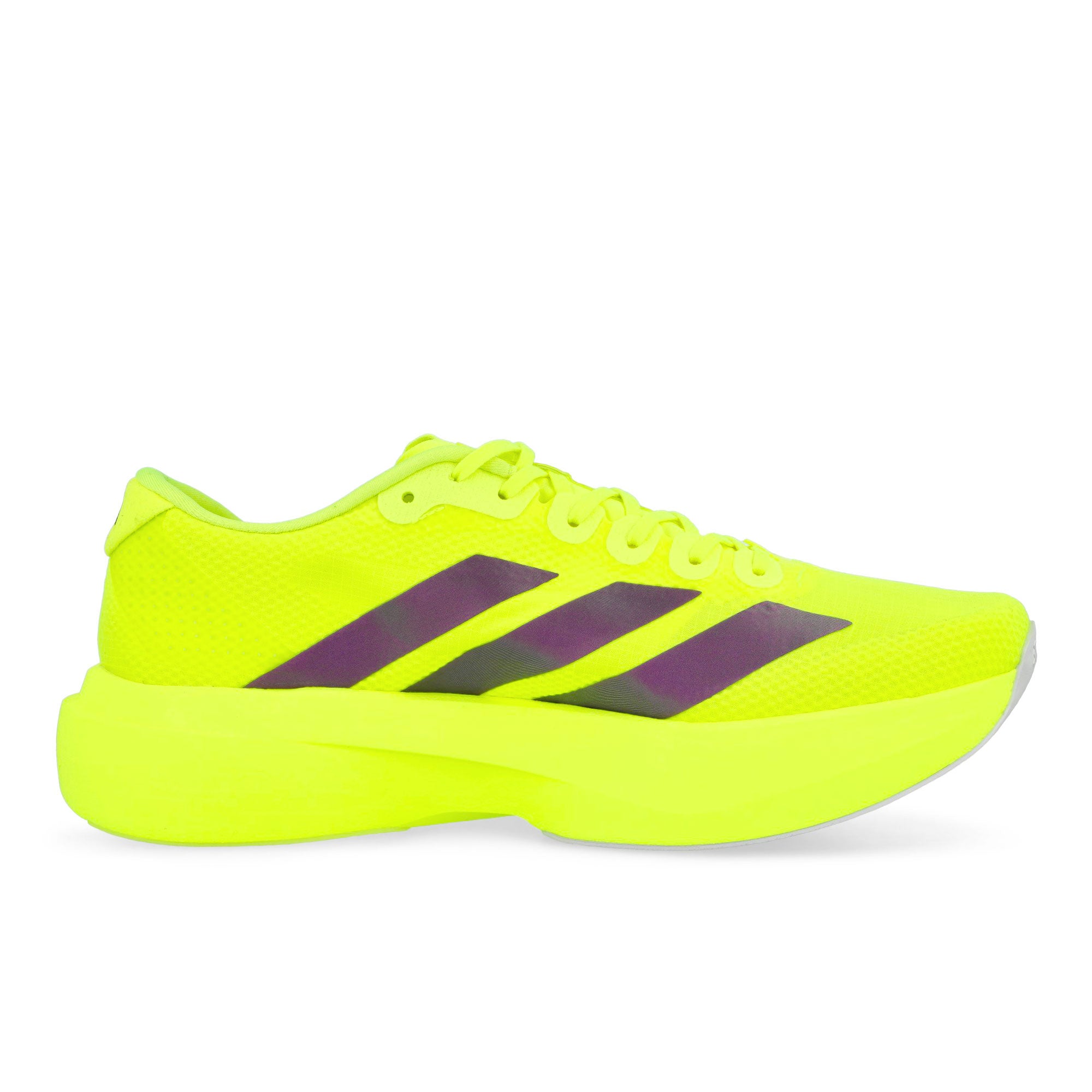 adidas Adizero EVO SL Woven M Solar Yellow / Aurora Plum / Powder Plum Low Top Sneakers JR2024 Silhouette | Overkill
