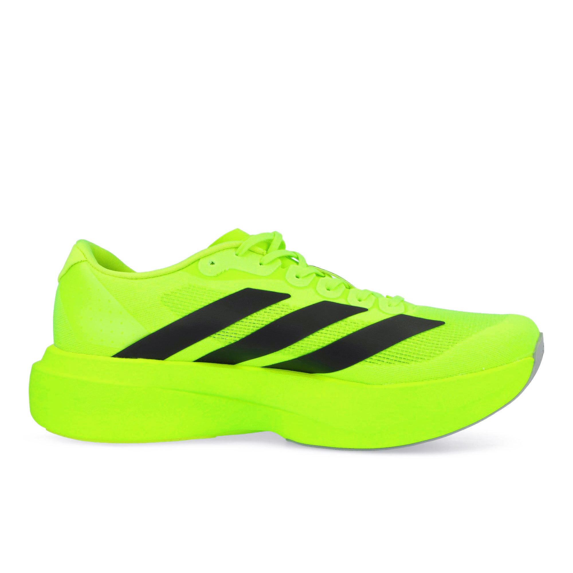 adidas adizero Evo SL M JR3416 | OVERKILL