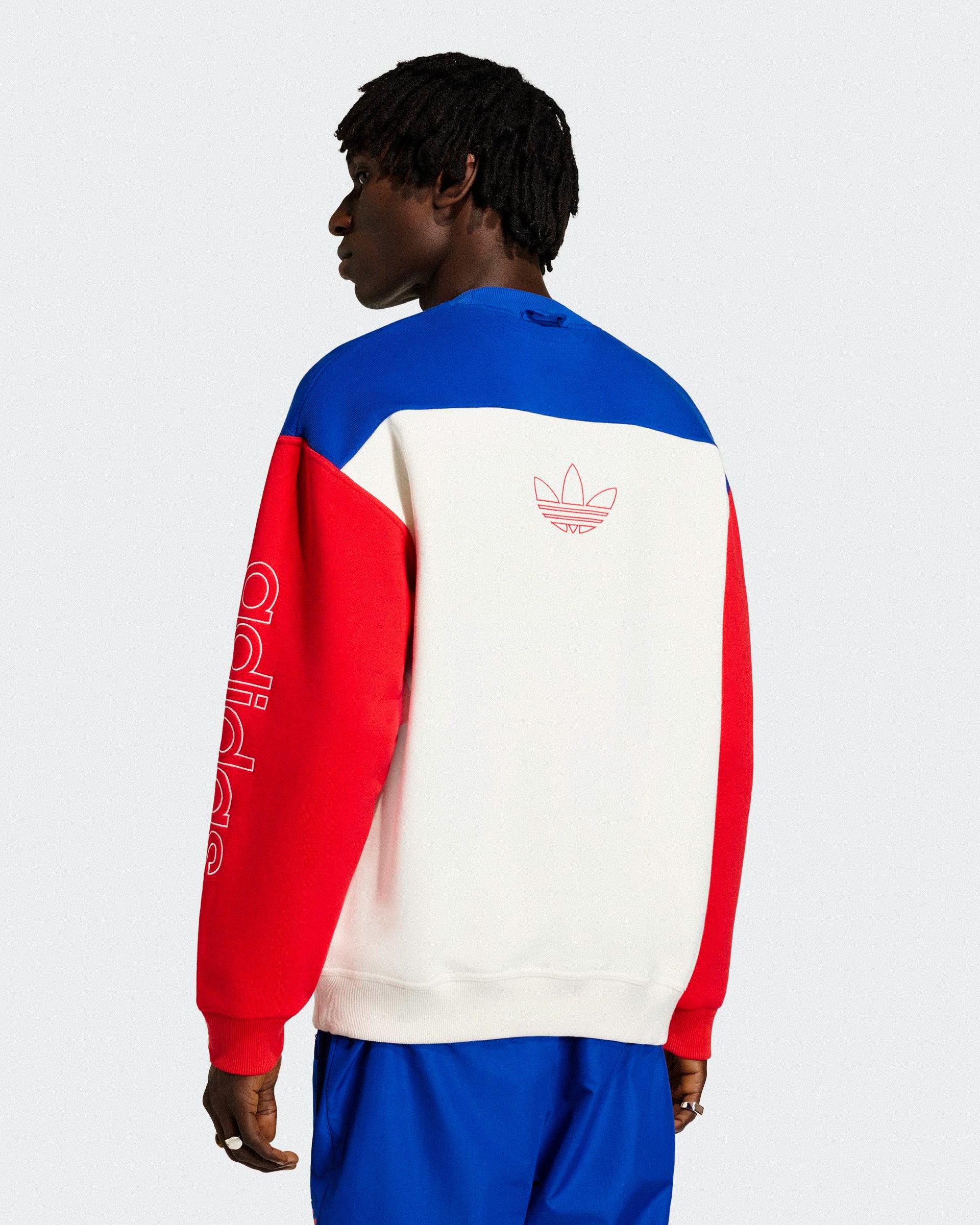 adidas Graphic Sweatshirt Team Royal Blue / Cloud White Sweatshirts KD1156 On Model Back View | Overkill
