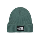 The North Face Logo Box Cuffed Beanie Dark Sage Beanies NF0A3FJXI0F1 | Overkill