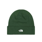 The North Face Norm Beanie Pine Needle Beanies NF0A5FW1I0P | Overkill