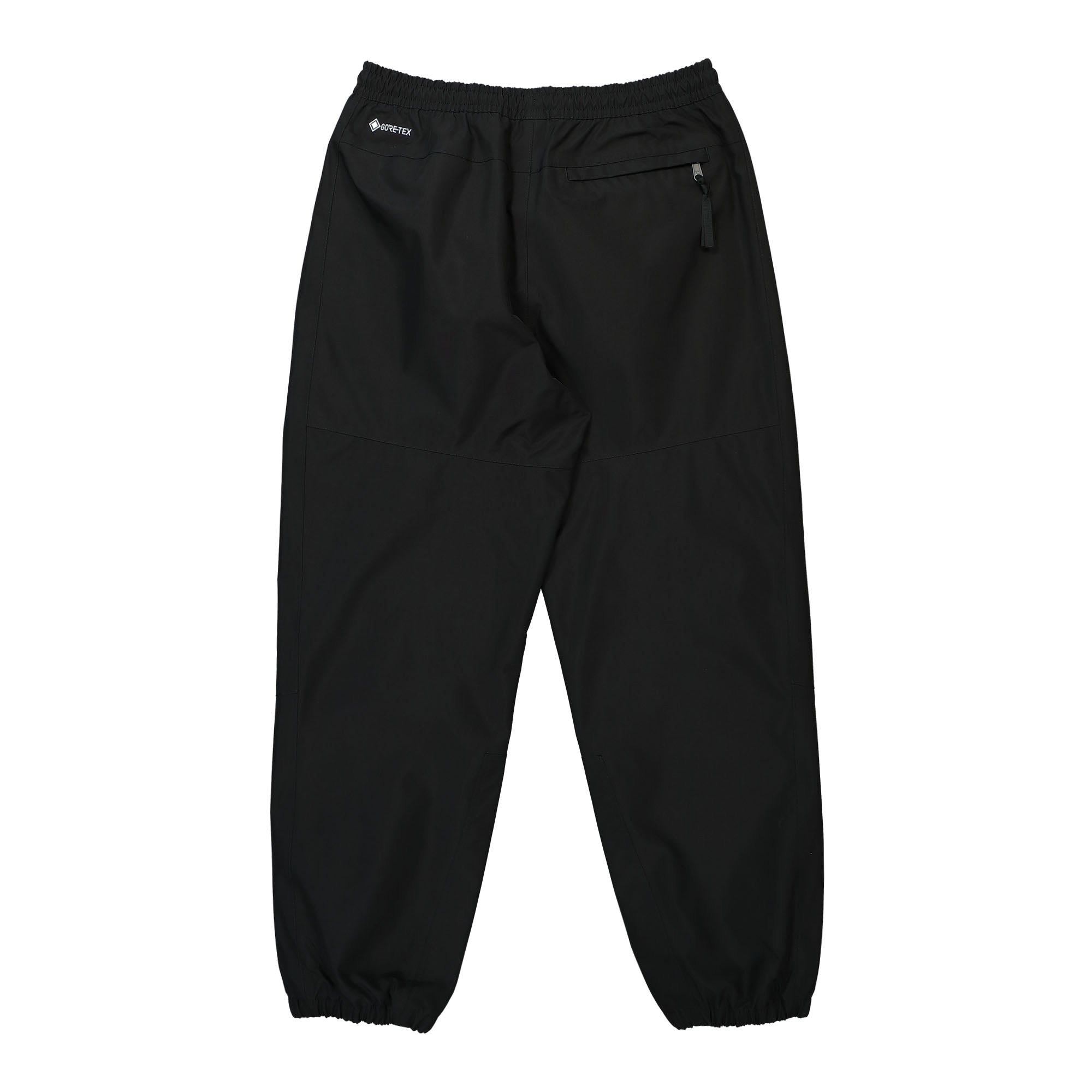 The North Face GTX Mountain Pant NF0A831LJK3 | OVERKILL