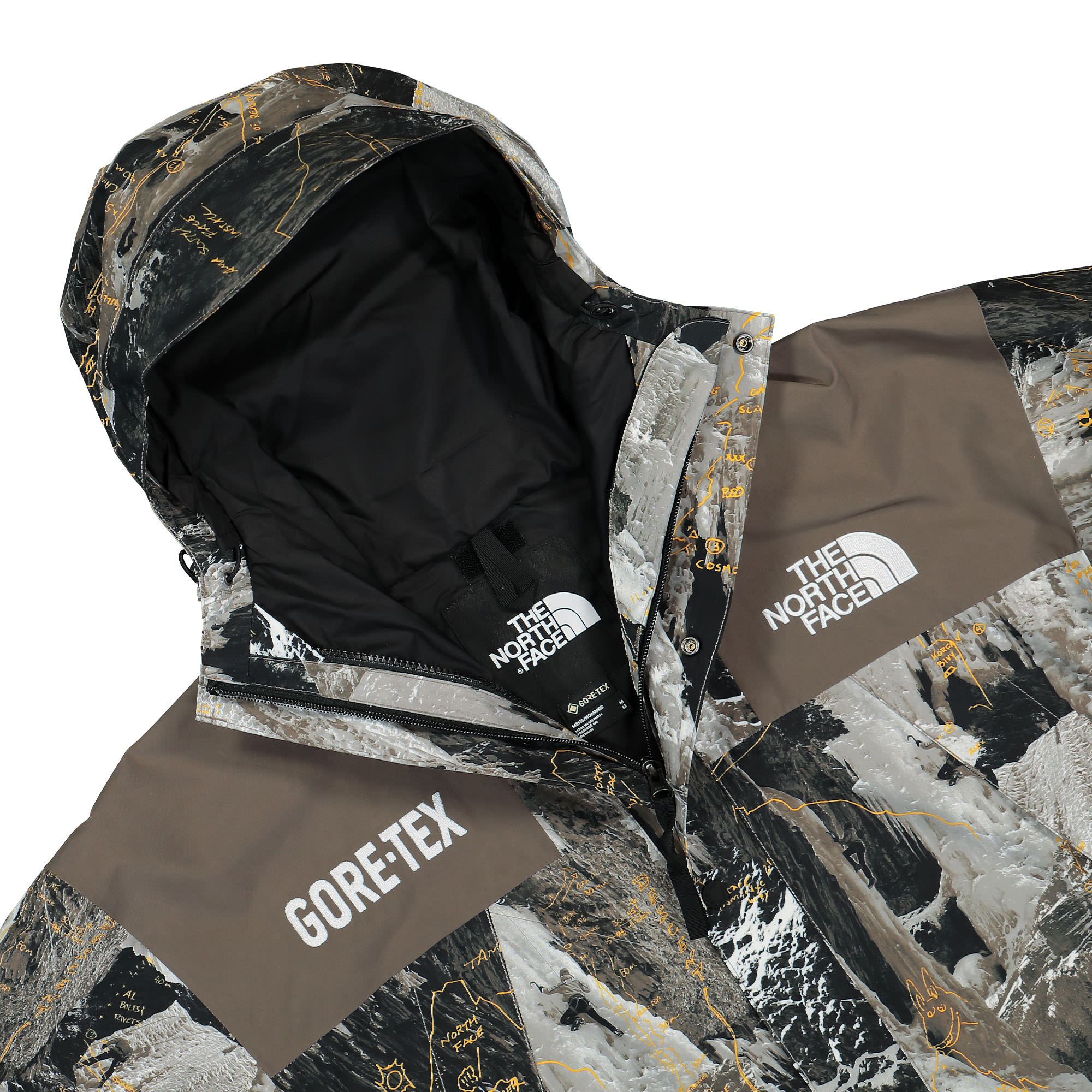 The North Face GTX Mountain Jacket NF0A831MO3X | OVERKILL