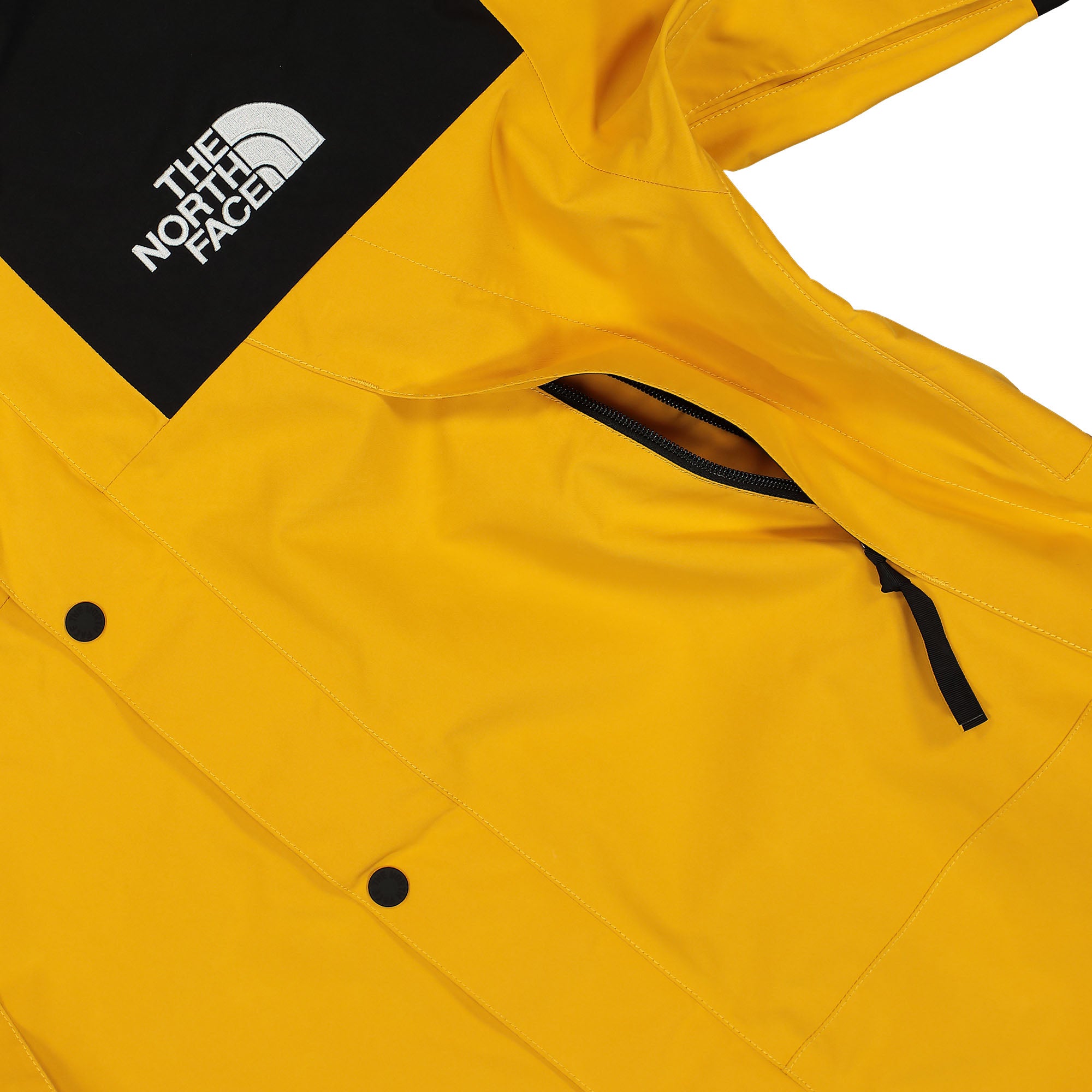 The North Face GTX Mountain Jacket NF0A831MZU3 | OVERKILL