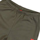 The North Face M Red Box Sweatpant New Taupe Green Sweat & Track Pants NF0A8EG321L Detail View 1 | Overkill
