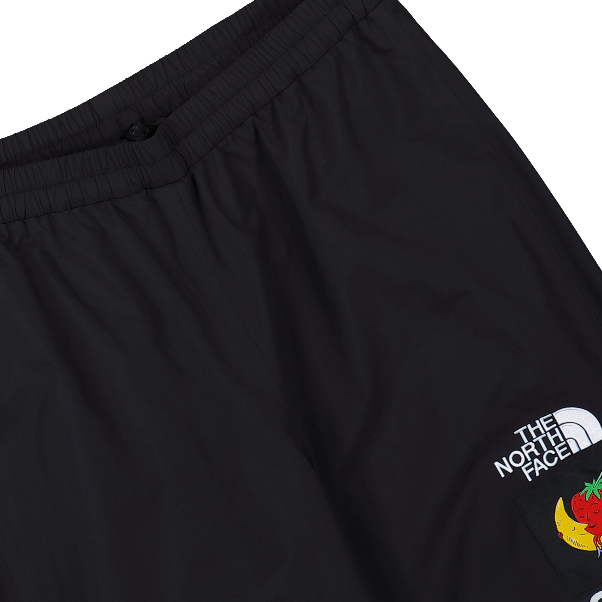 SHF x The North Face Mountain Pant TNF Black Sweat & Track Pants NF0A8HHMJK3 Detail View 1 | Overkill
