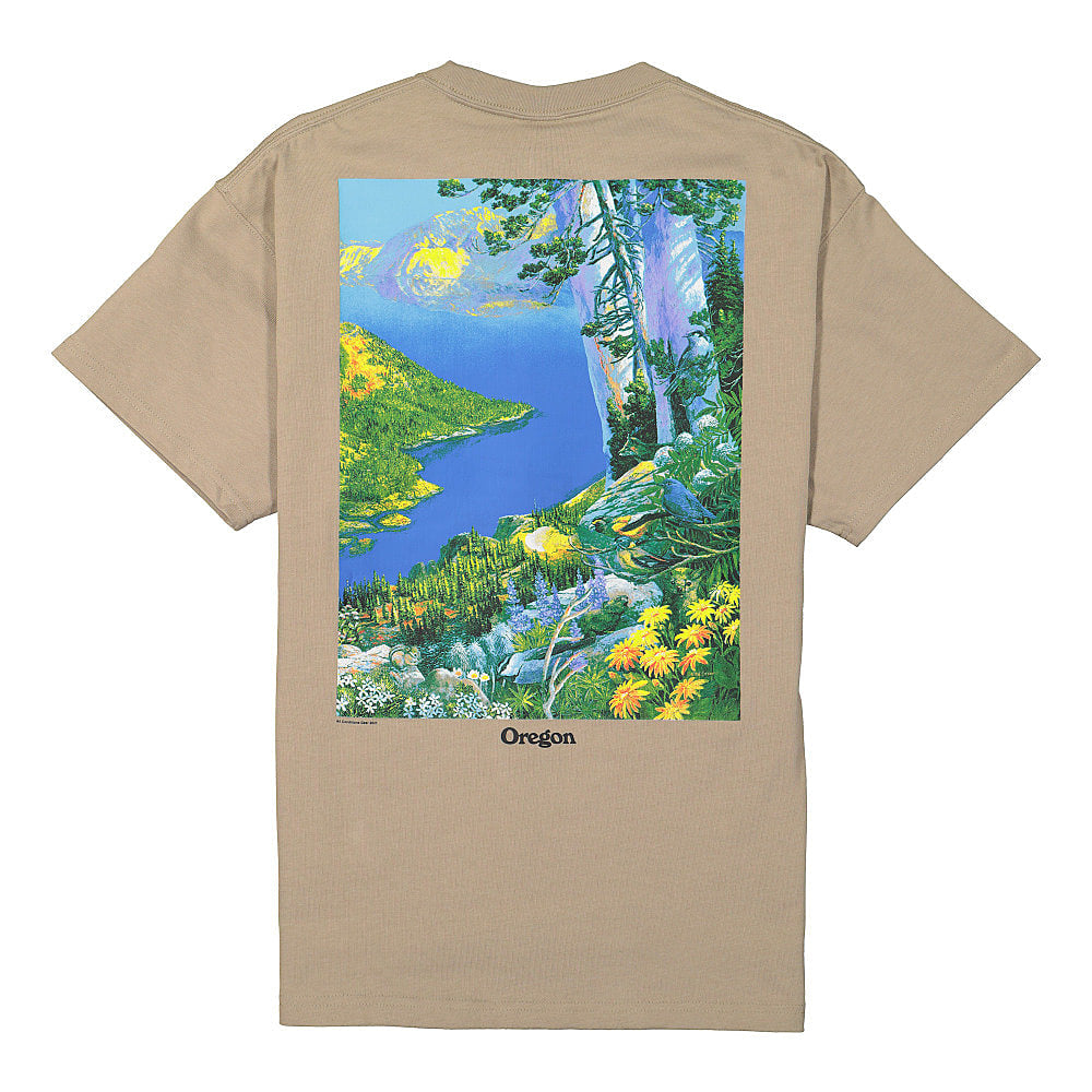 Nike NRG ACG Short Sleeve Crater Lake Tee Khaki / White T-Shirts Material | Overkill