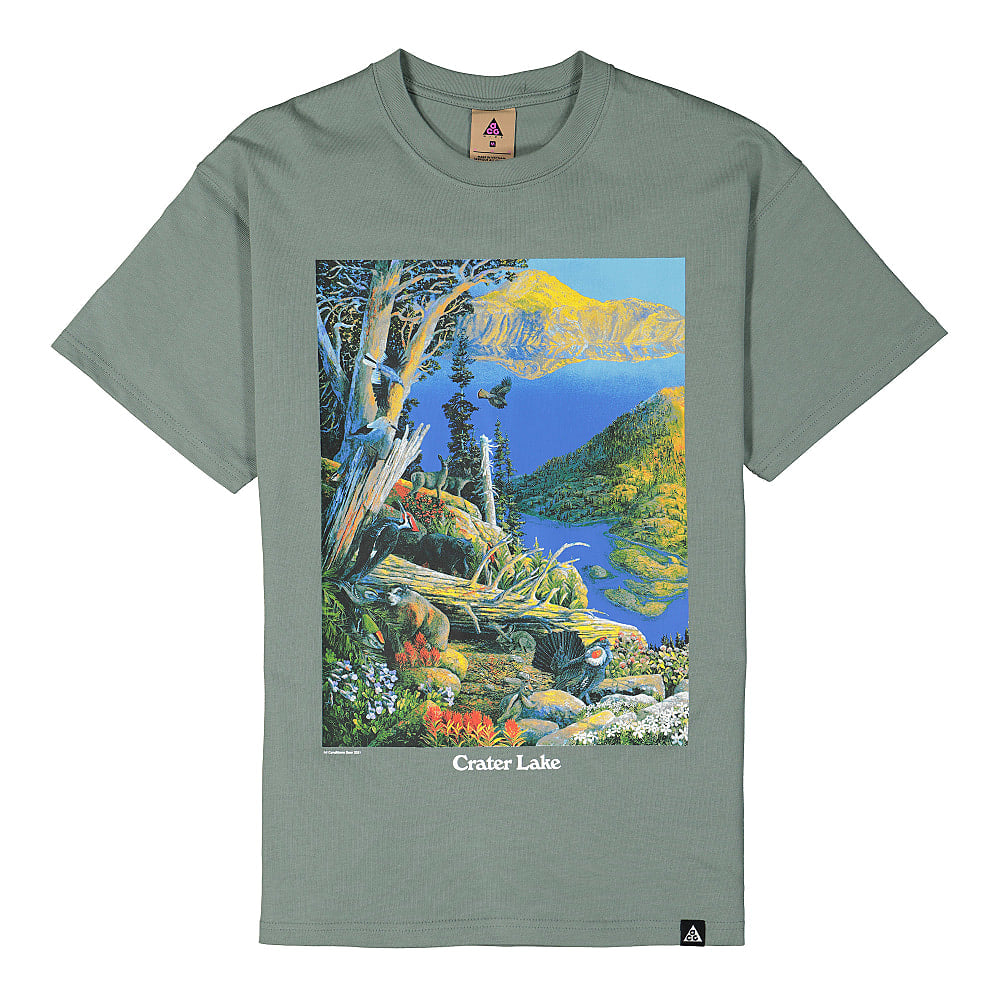 Nike NRG ACG Short Sleeve Crater Lake Tee Caly Green / White T-Shirts DA4877 365 | Overkill