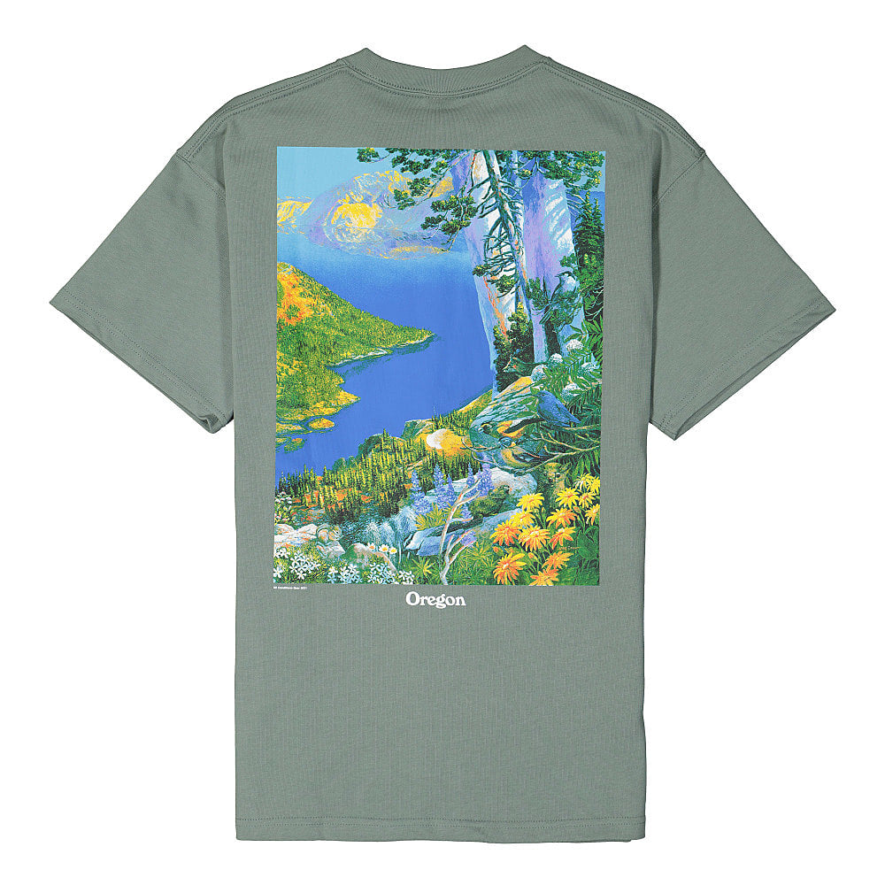 Nike NRG ACG Short Sleeve Crater Lake Tee Caly Green / White T-Shirts Material | Overkill