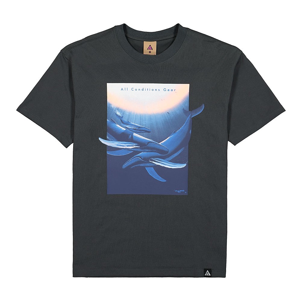 Nike NRG ACG SS Tee Wyland Dark Smoke Grey T-Shirts DC5358 070 | Overkill