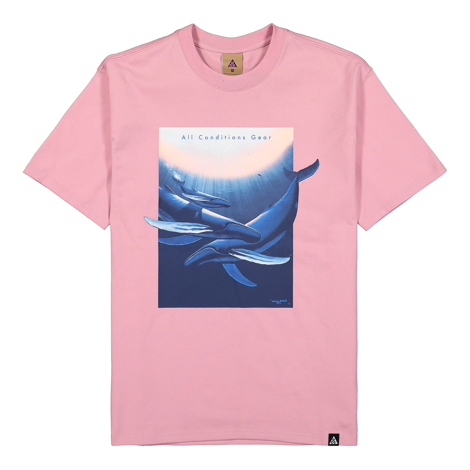 Nike NRG ACG SS Tee Wyland Elemental Pink T-Shirts DC5358 698 | Overkill