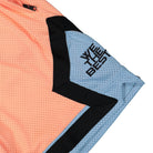 Jordan DJ Khaled x Air Jordan DJK Short Crimson Bliss / Leche Blue / Black Shorts Detail view 1 | Overkill