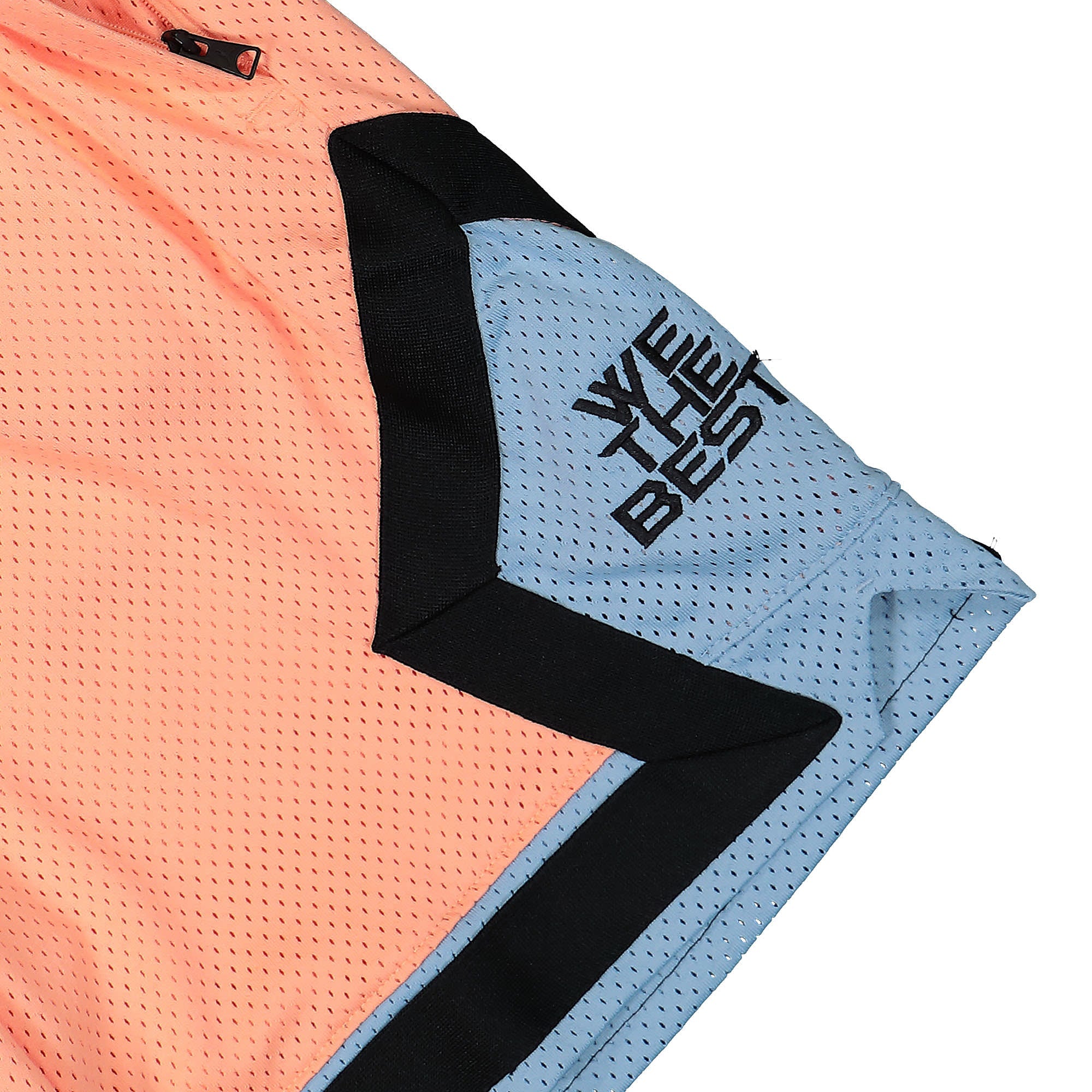 Jordan DJ Khaled x Air Jordan DJK Short Crimson Bliss / Leche Blue / Black Shorts Detail view 1 | Overkill