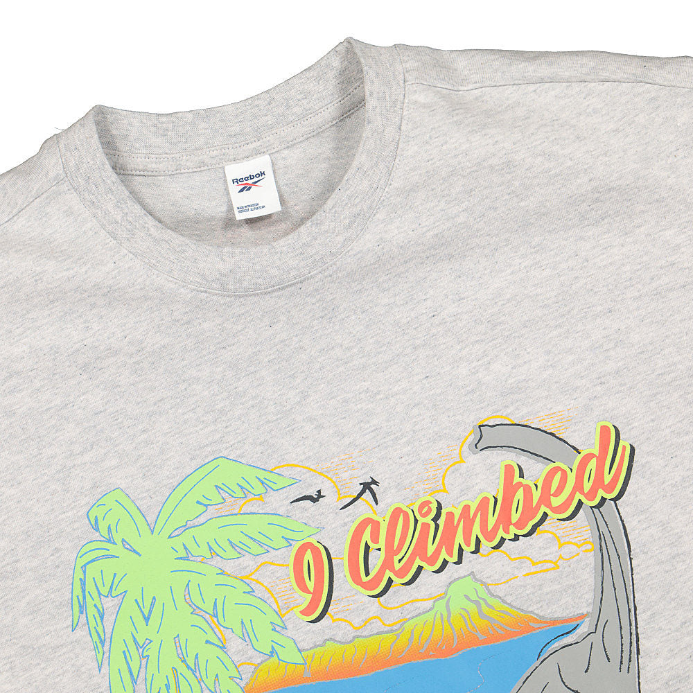 Reebok Jurassic Park x Reebok Isla Nublar SS Tee Light Grey Heather T-Shirts Close-up | Overkill