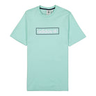 adidas Linear Logo Tee Clear Mint T-Shirts HB1818 | Overkill