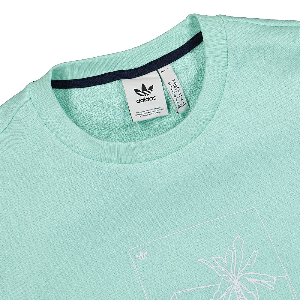 adidas Graphic Crew Clear Mint Sweatshirts Close-up | Overkill