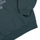 Carhartt WIP Hooded Digital Sweat Fraiser / Icesheet Hoodies Detailfoto | Overkill