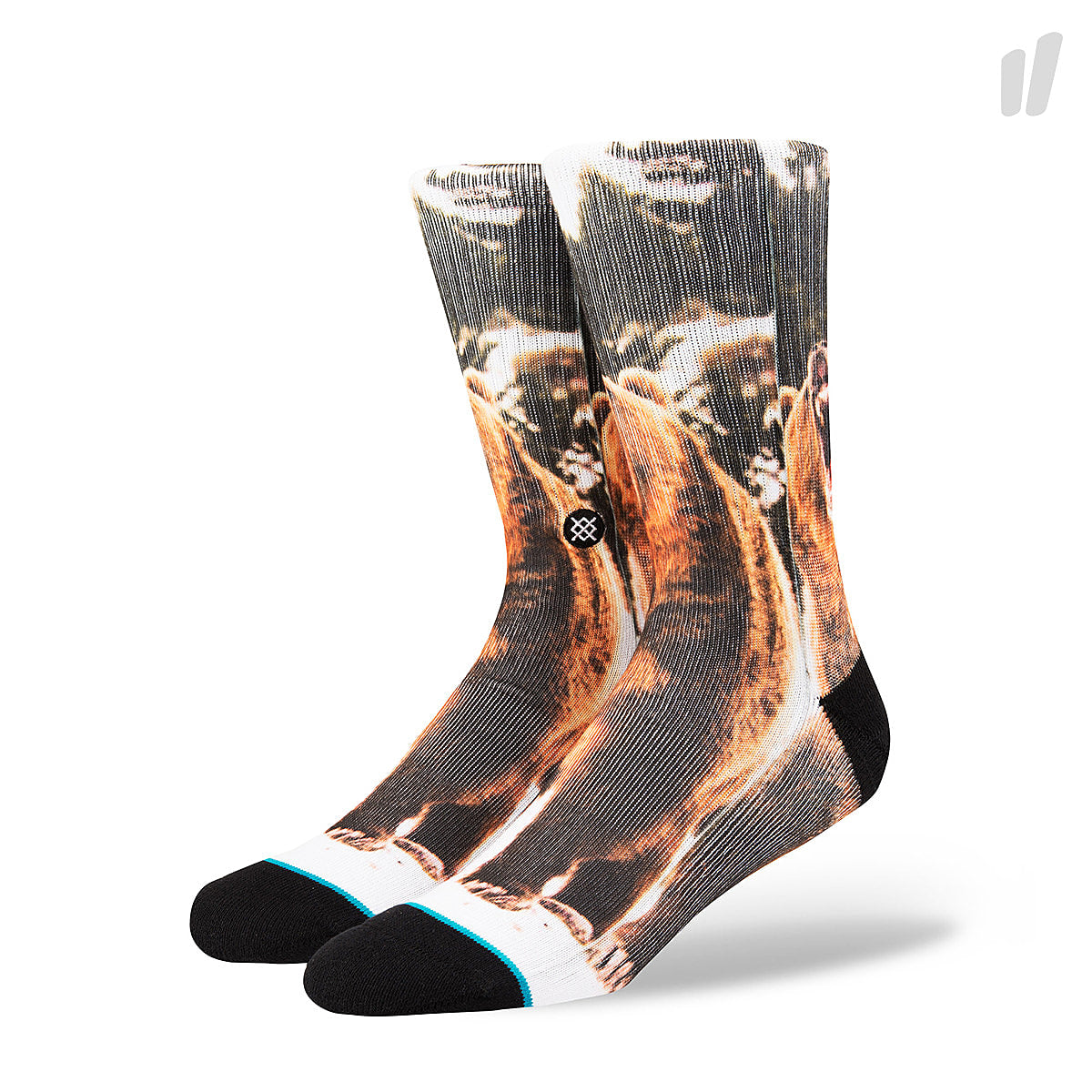 Stance Leos Socks Multicolor Socks M556C17LEO-MUL | Overkill