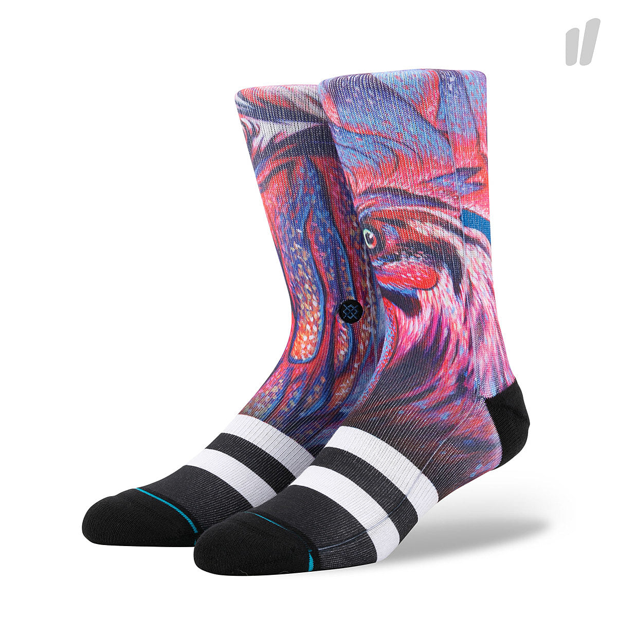 Stance Chicken Scratch Socks Navy Socks M556C18CHS-NVY | Overkill