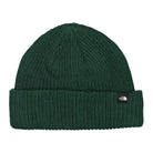 The North Face Fisherman Beanie Ponderosa Green Beanies NF0A55JGE80 | Overkill