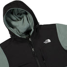 The North Face Denali 2 Anorak Balsam Green Fleece Jackets Close-up | Overkill