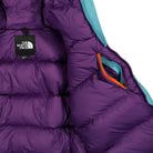 The North Face CTAE Expedition Parka Transantarctic Blue Puffer Jackets Detail view 1 | Overkill