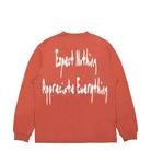 Pleasures Hated Longsleeve Brick Longsleeves Close-up | Overkill