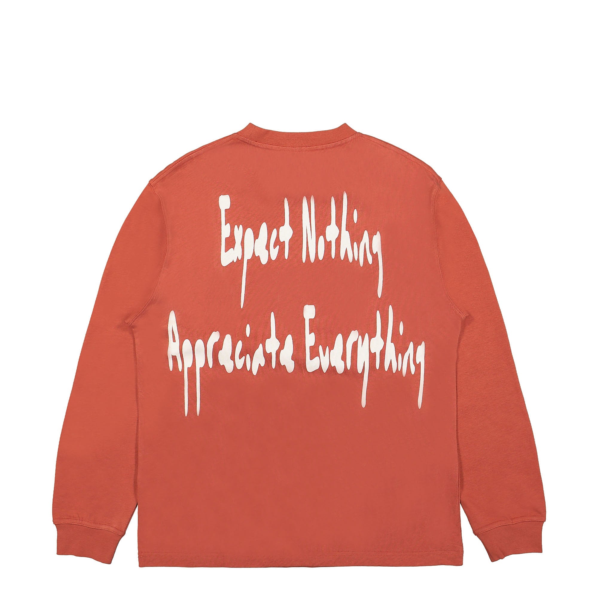 Pleasures Hated Longsleeve Brick Longsleeves Close-up | Overkill